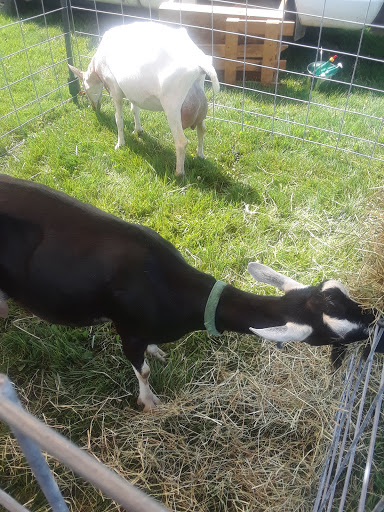 Golf Club «Hillsborough Golf & Country Club», reviews and photos, 146 Wertsville Rd, Hillsborough Township, NJ 08844, USA