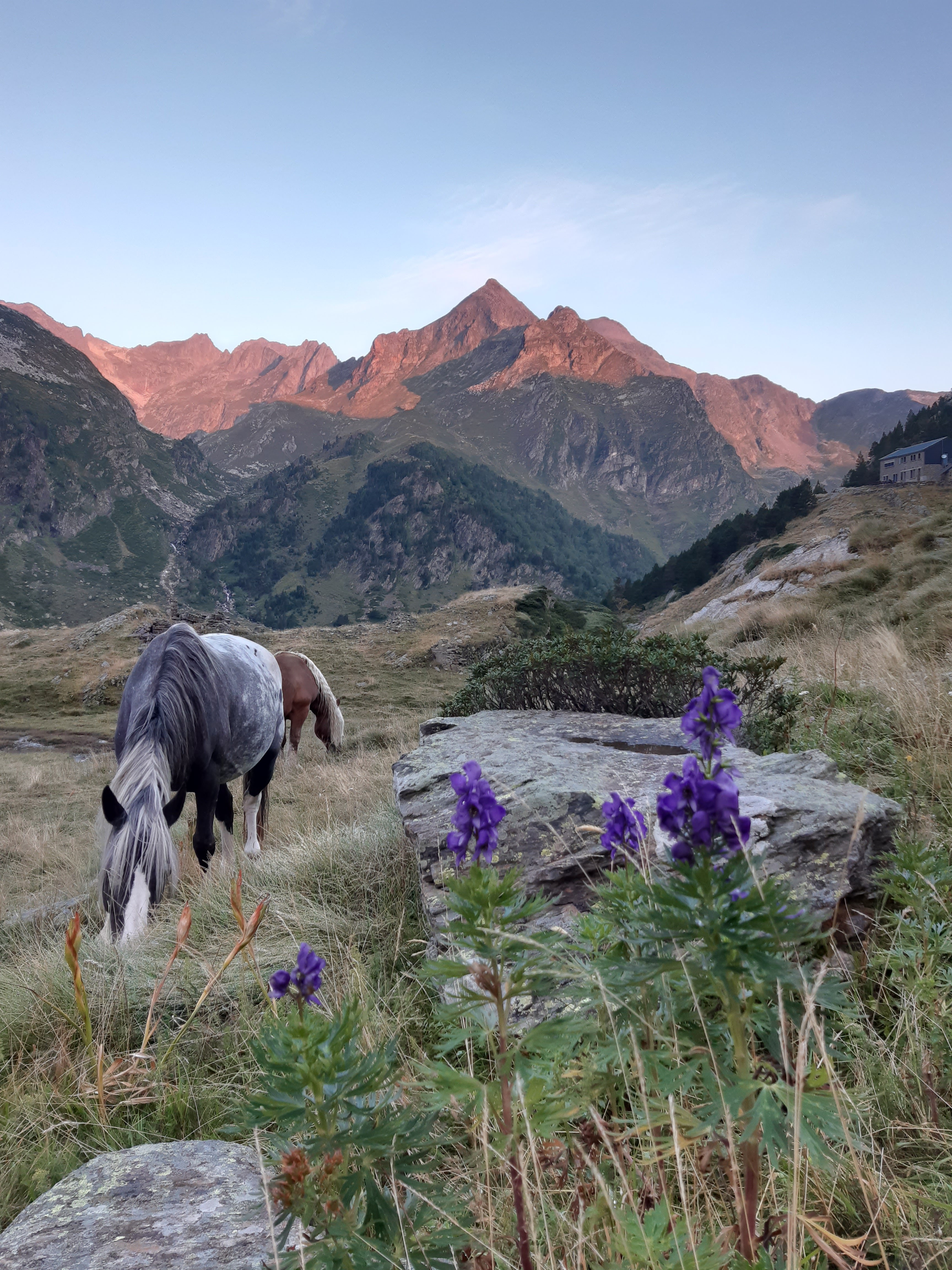 Photo n° 1 de l'avis de Jacques.u fait le 25/08/2021 à 17:04