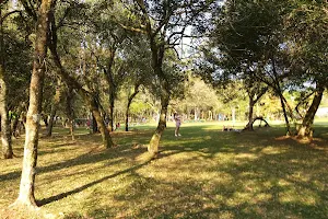 Parque Tarquínio Portal Leste image