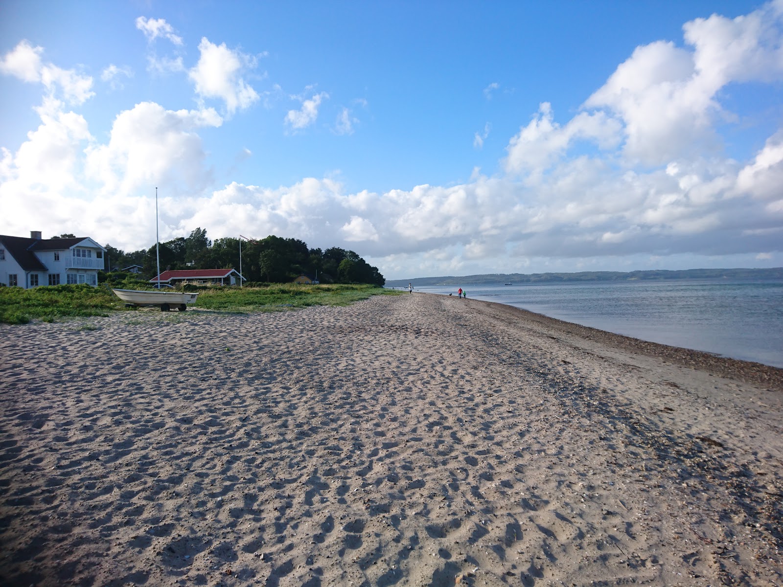 Φωτογραφία του Holl Beach άγρια περιοχή