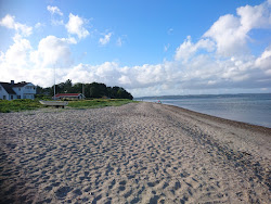 Holl Beach'in fotoğrafı vahşi alan