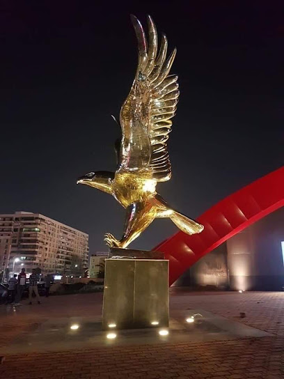 دكتور فتحى فوزى