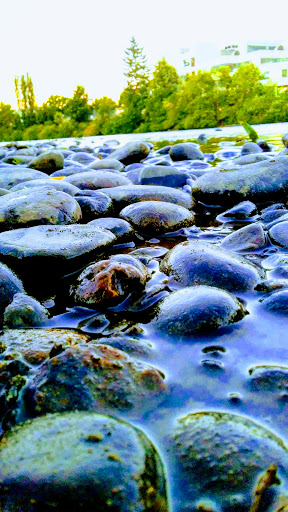 Park «Alton Baker Park», reviews and photos, 100 Day Island Rd, Eugene, OR 97401, USA