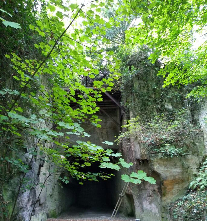 Photo n° 1 de l'avis de Antoine. fait le 04/10/2019 à 18:54