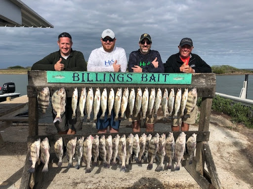 Spot N' Tails Fishing Charters