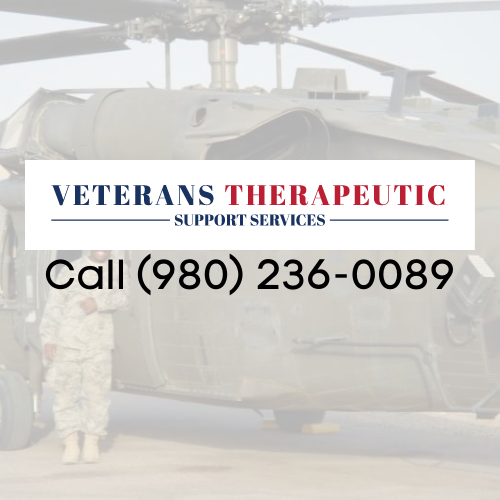 Veteran Therapeutic Support Services