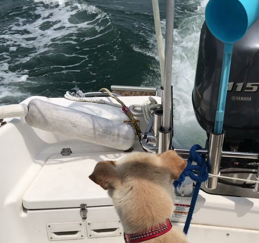 遊漁船(遊覧船)鮮魚直売所 栄将丸 長栄丸