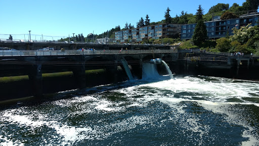 Bicycle Repair Shop «The Bicycle Repair Shop», reviews and photos, 68 Madison St, Seattle, WA 98104, USA