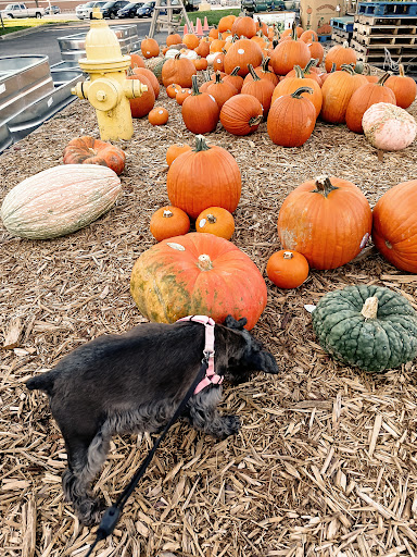 Department Store «Rural King», reviews and photos, 230 Central Pkwy, Heath, OH 43056, USA