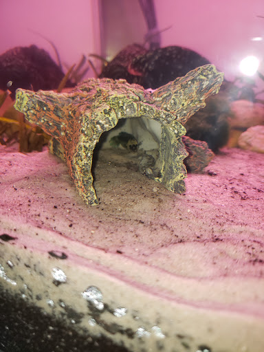 Pet Supply Store «Petco Animal Supplies», reviews and photos, 6612 Richmond Hwy, Alexandria, VA 22306, USA