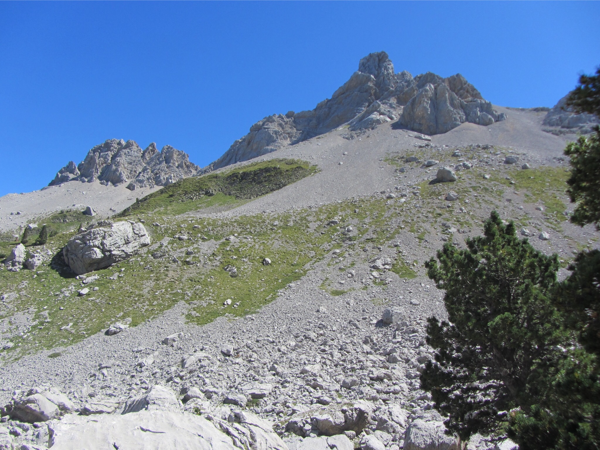 Photo n° 2 de l'avis de f... fait le 25/04/2018 à 10:11