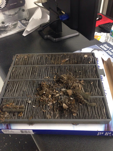 Auto Repair Shop «LOGANVILLE AUTO SERVICE CENTER», reviews and photos, 3364 Langley Rd SW, Loganville, GA 30052, USA