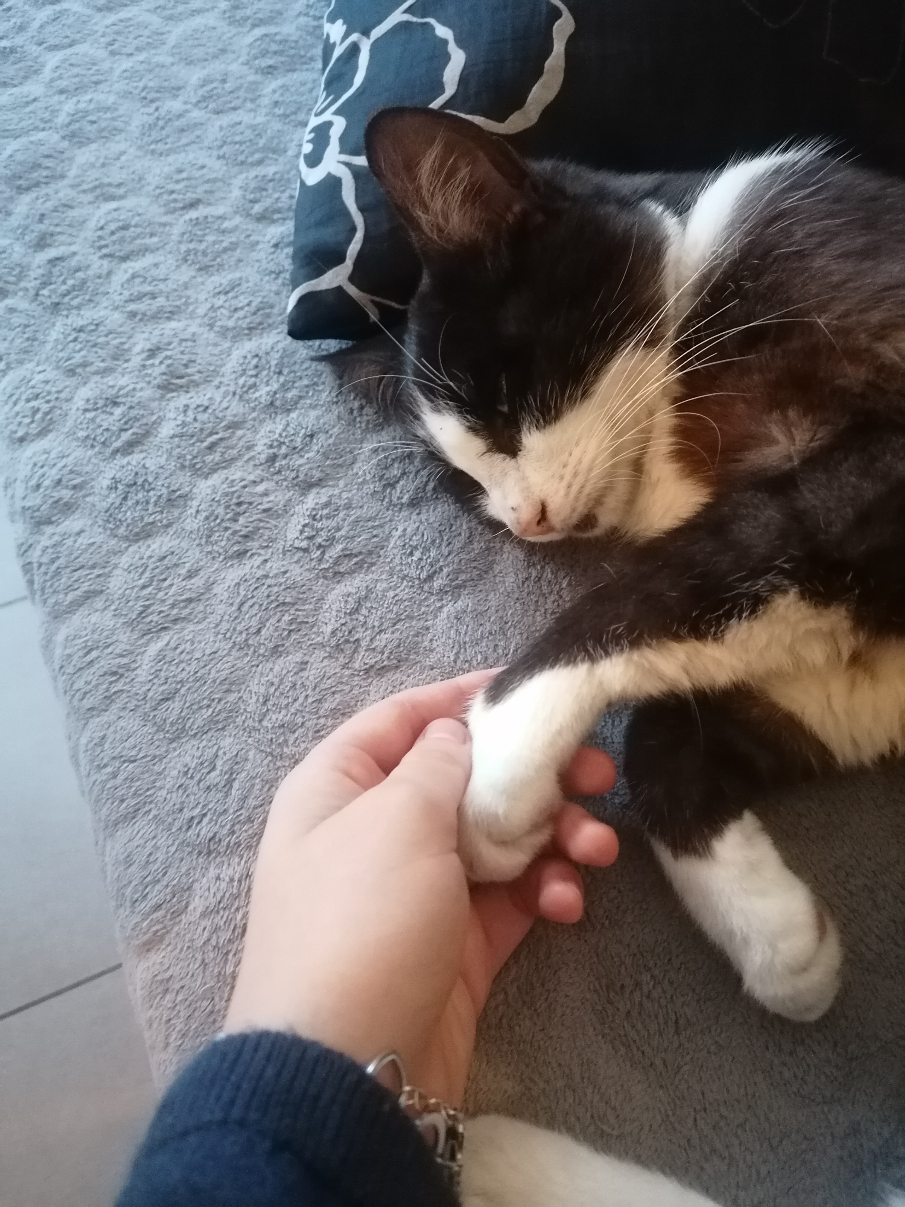 Photo n° 1 de l'avis de Manon.a fait le 21/09/2022 à 18:09