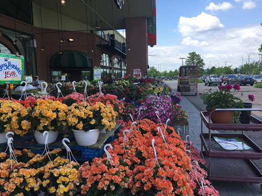 Supermarket «Nino Salvaggio International», reviews and photos, 17496 Hall Rd, Charter Twp of Clinton, MI 48038, USA