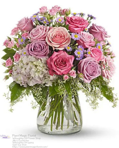 Florist «Plant Magic Florist», reviews and photos, 38015 Euclid Ave, Willoughby, OH 44094, USA