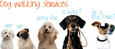 Sweeties Dog Walker - Photo 2 - Car repair in Pasadena, TX, Pasadena