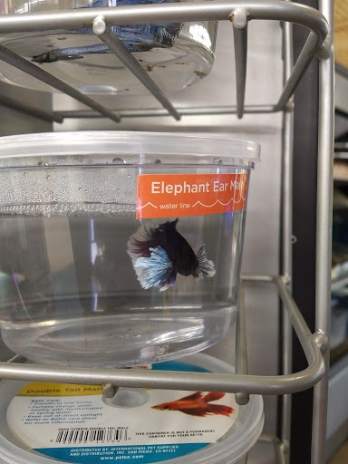 Pet Supply Store «Petco Animal Supplies», reviews and photos, 5900 E Virginia Beach Blvd #20, Norfolk, VA 23502, USA