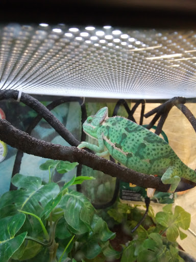 Pet Supply Store «Petco Animal Supplies», reviews and photos, 21178 E Ocotillo Rd, Queen Creek, AZ 85142, USA