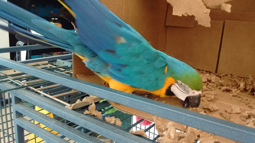 Pet Store «We Love Pets», reviews and photos, 1433 Coshocton Ave, Mt Vernon, OH 43050, USA