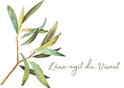 Landes Homéostasie Naturopathie - Mathilde Monboisset à Dax
