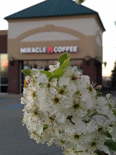 Coffee Shop «Miracle Coffee», reviews and photos, 40200 W 14 Mile Rd, Commerce Charter Twp, MI 48390, USA
