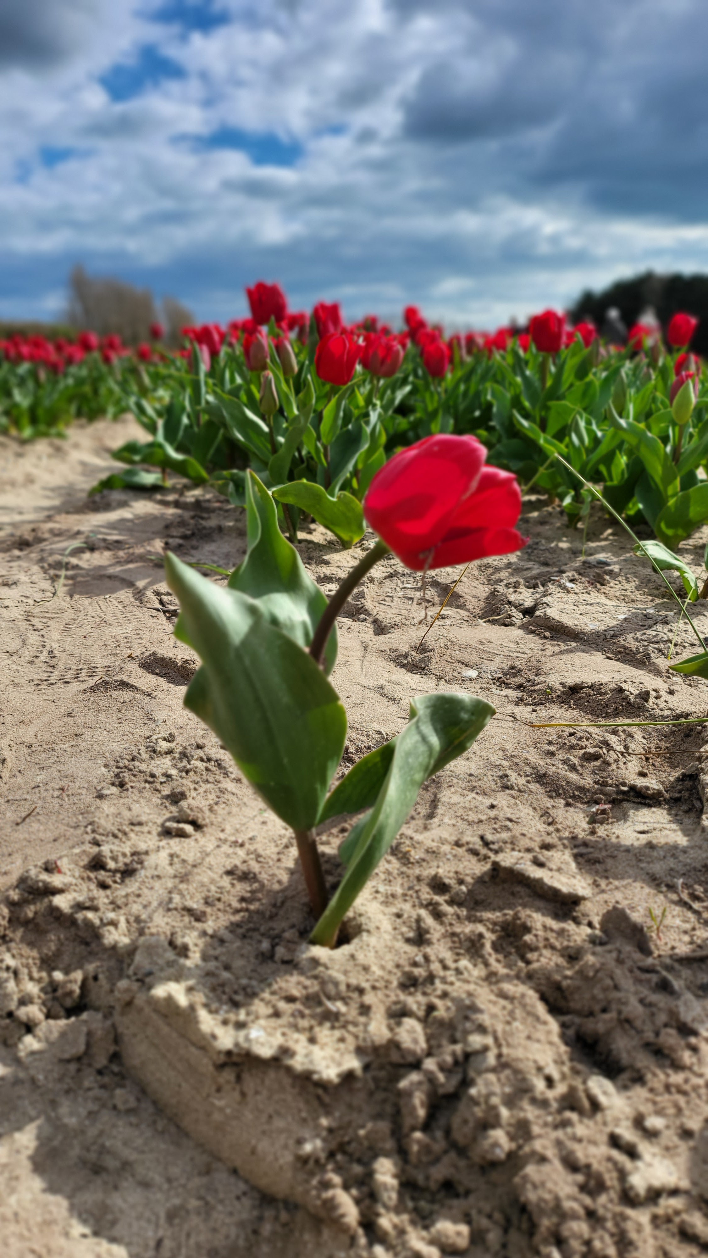 Photo n° 6 de l'avis de Armoni.L fait le 08/04/2023 à 16:17