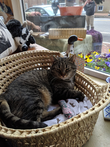 Gift Shop «Twigs & Teacups», reviews and photos, 111 S Cross St, Chestertown, MD 21620, USA