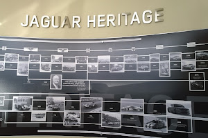 Jaguar Reno
