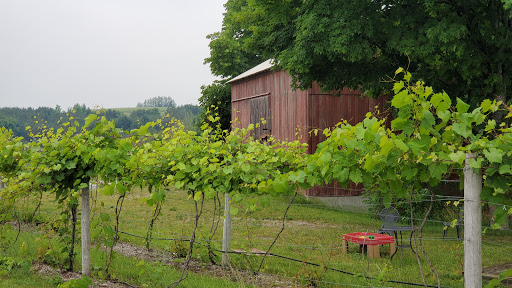Winery «45 North Vineyard & Winery», reviews and photos, 8580 E Horn Rd, Lake Leelanau, MI 49653, USA