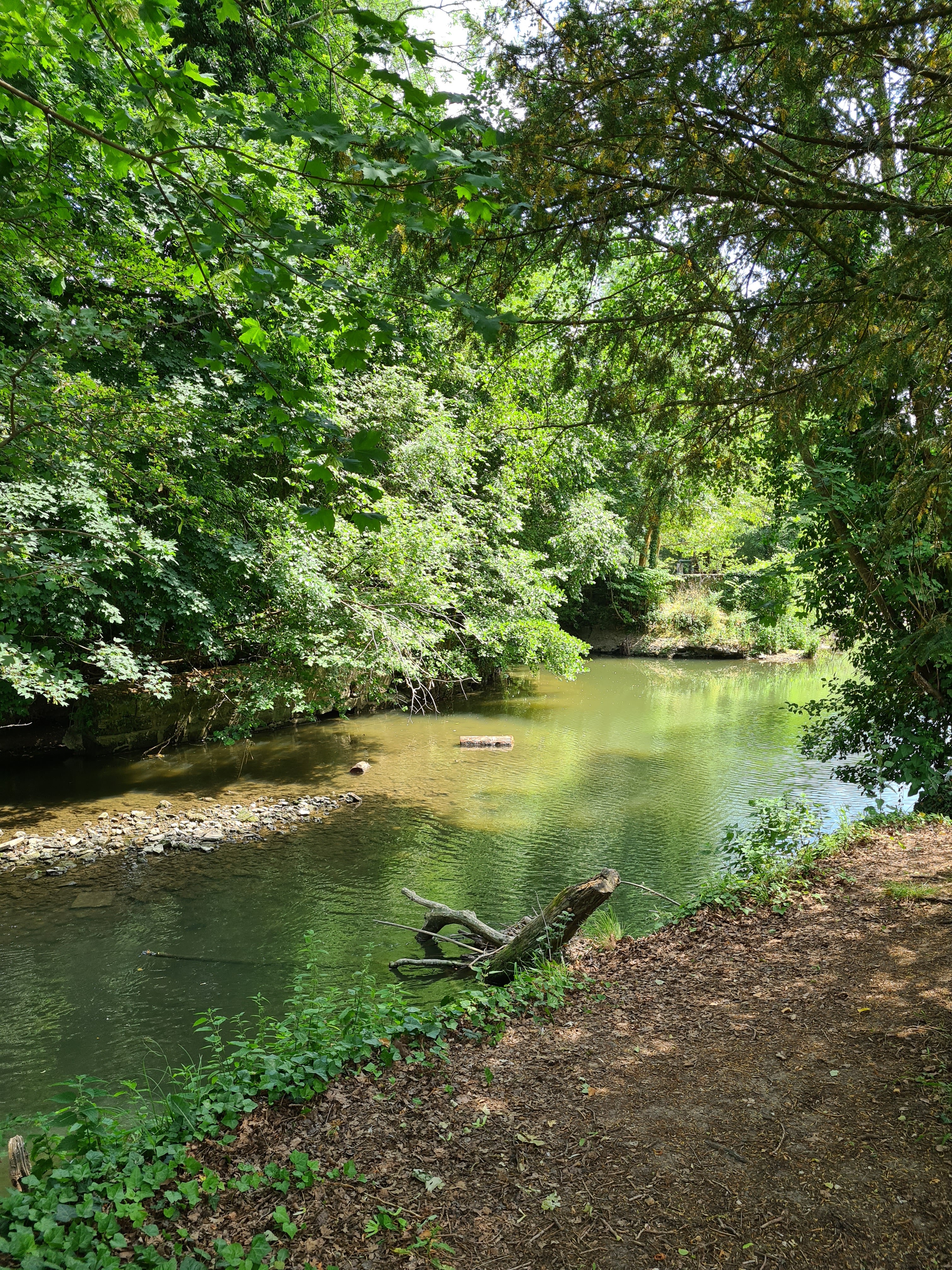 Photo n° 6 de l'avis de Sandrine.y fait le 10/06/2023 à 19:35