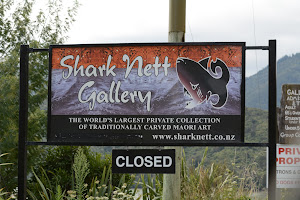Shark Nett Gallery