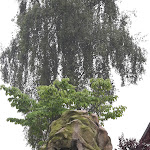 Photo n°6 de l'avis de Martin.p fait le 04/06/2017 à 16:36 sur le  Wittenbrink's à Werne