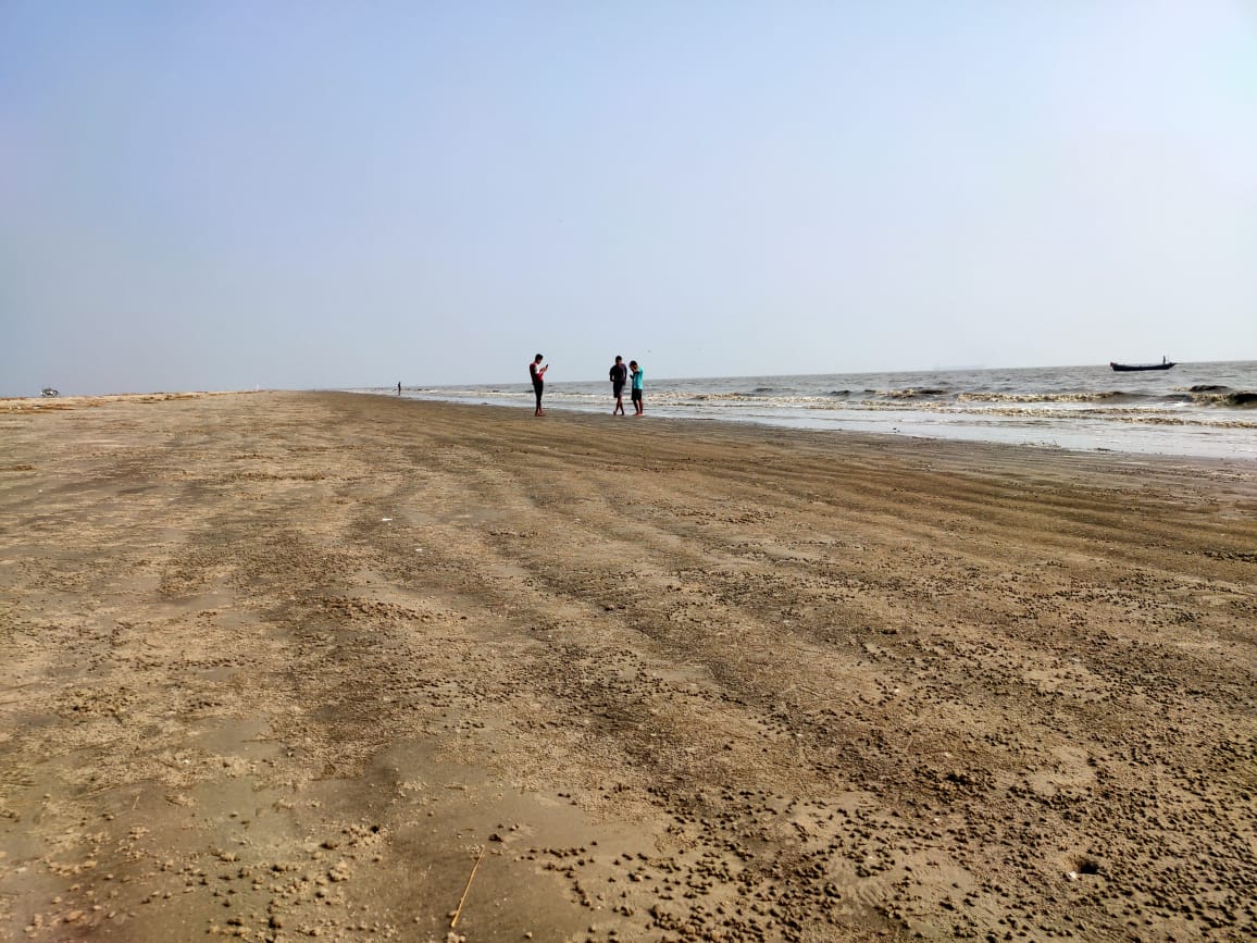 Foto af Hijli Sea Beach vildt område