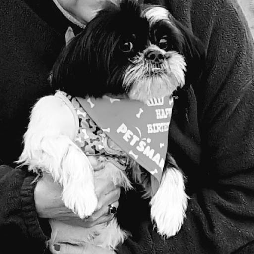 Pet Supply Store «PetSmart», reviews and photos, 482 Stillwater Ave Ste 2A, Bangor, ME 04401, USA