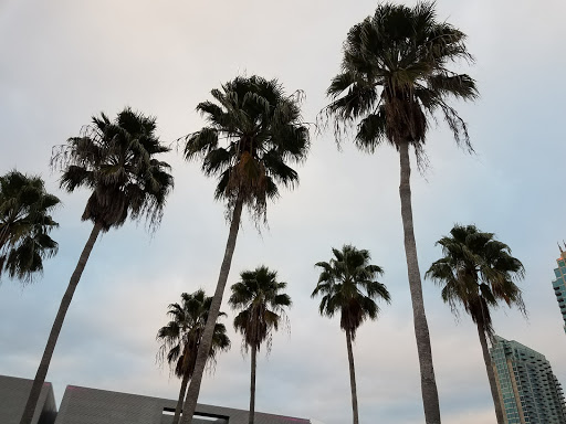 Park «Curtis Hixon Waterfront Park», reviews and photos, 600 N Ashley Dr, Tampa, FL 33602, USA