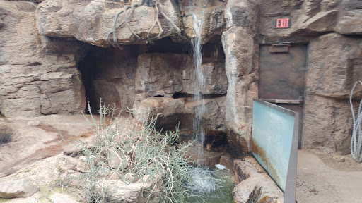 Zoo «Desert Dome & Kingdoms of the Night», reviews and photos, 3701 S 10th St, Omaha, NE 68108, USA