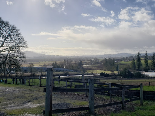 Winery «Plum Hill Vineyards», reviews and photos, 6505 SW Old Highway 47, Gaston, OR 97119, USA
