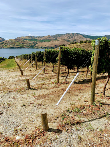 Winery «Benson Vineyards Estate Winery», reviews and photos, 754 Winesap Ave, Manson, WA 98831, USA