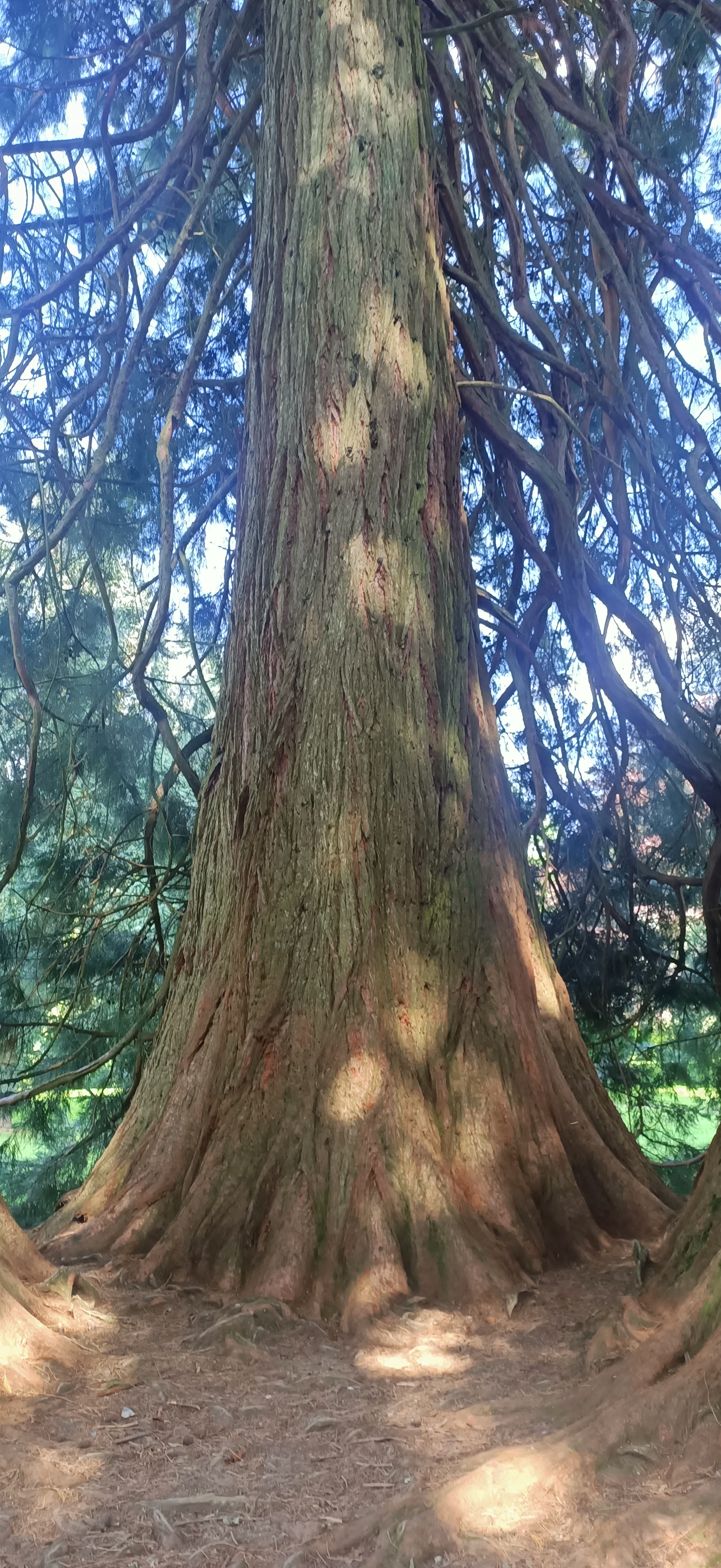 Photo n° 15 de l'avis de Yan.E fait le 06/07/2023 à 13:13