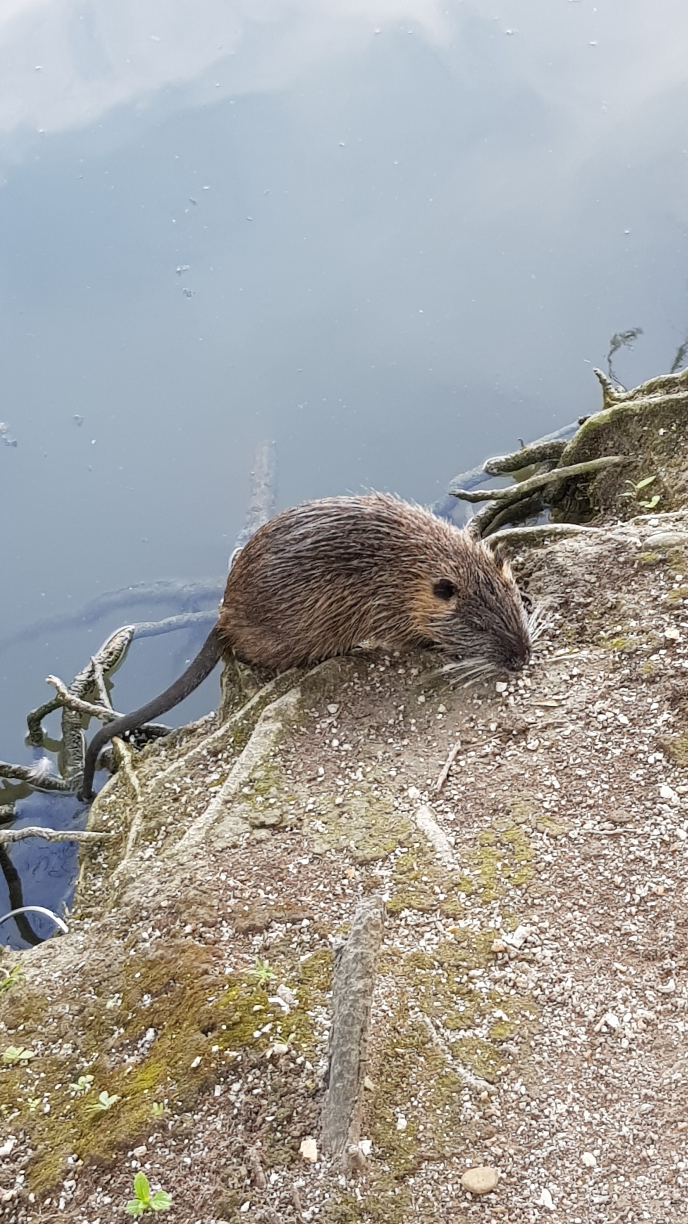 Photo n° 4 de l'avis de Marie.o fait le 30/08/2018 à 15:28