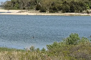 Elizabeth A. Morton National Wildife Refuge image