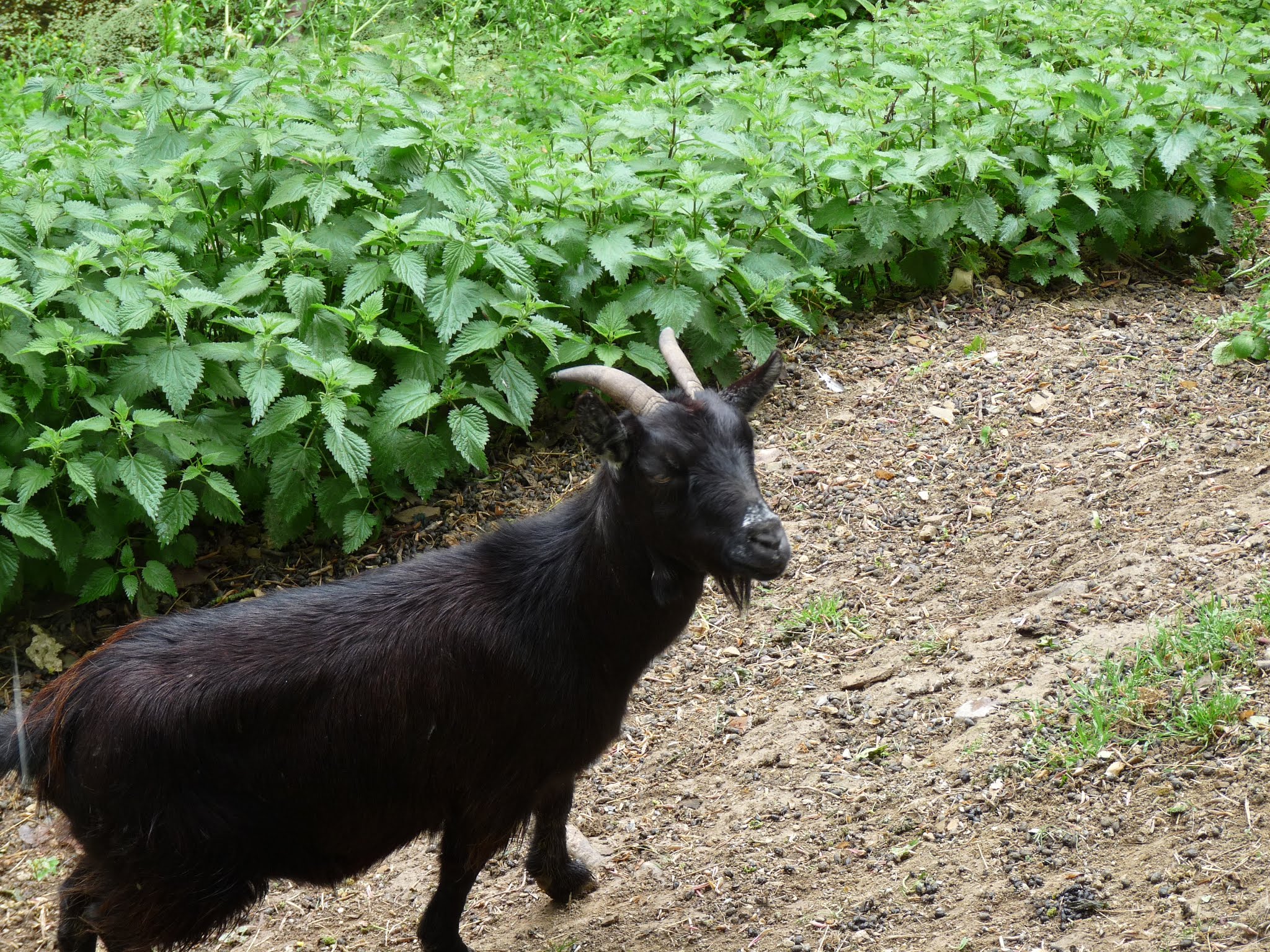 Photo n° 22 de l'avis de Guillaume.i fait le 16/05/2019 à 19:52
