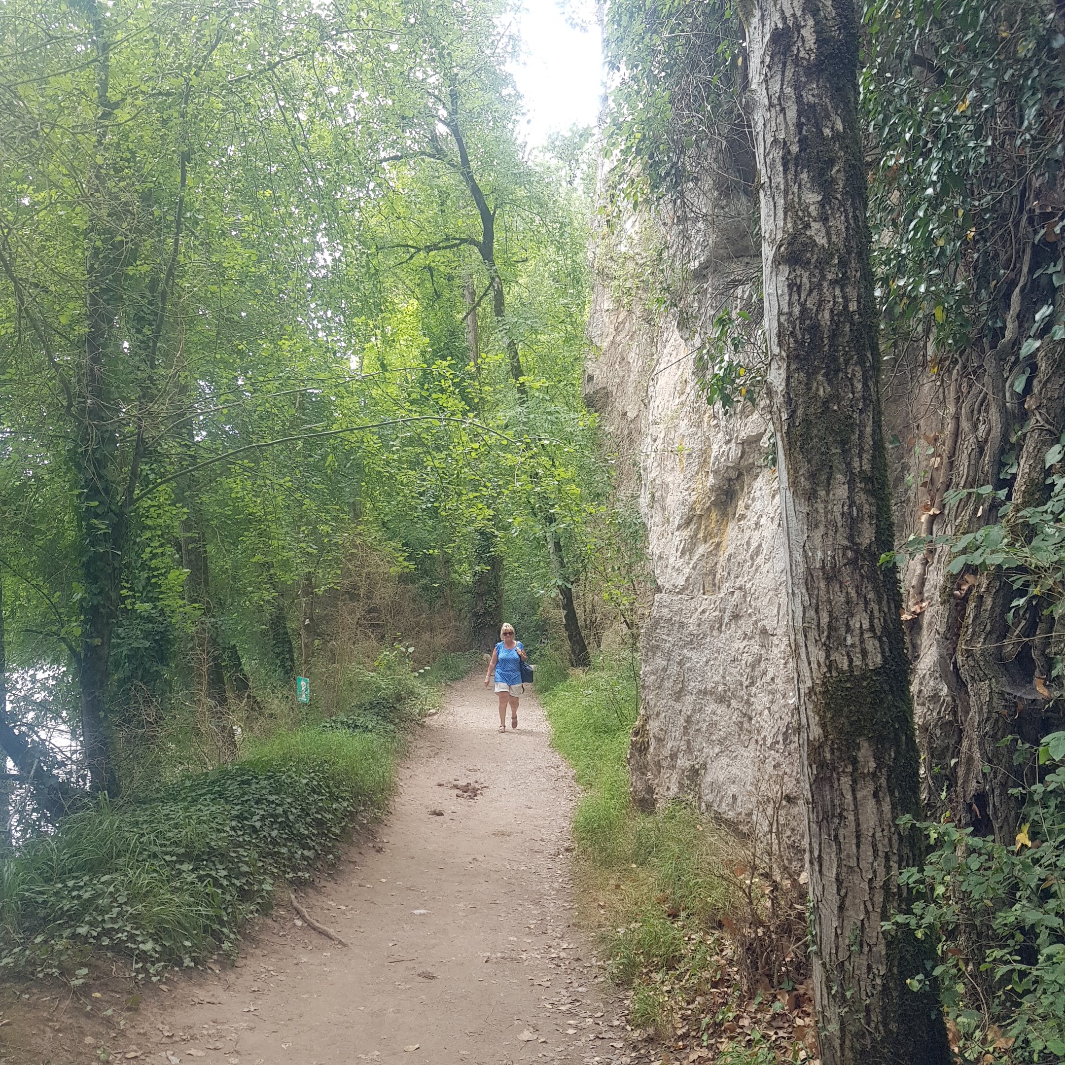 Photo n° 12 de l'avis de Jean.i fait le 10/12/2018 à 13:26