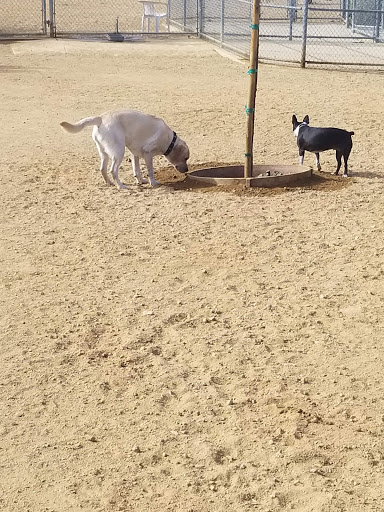 Canine Country Dog Park