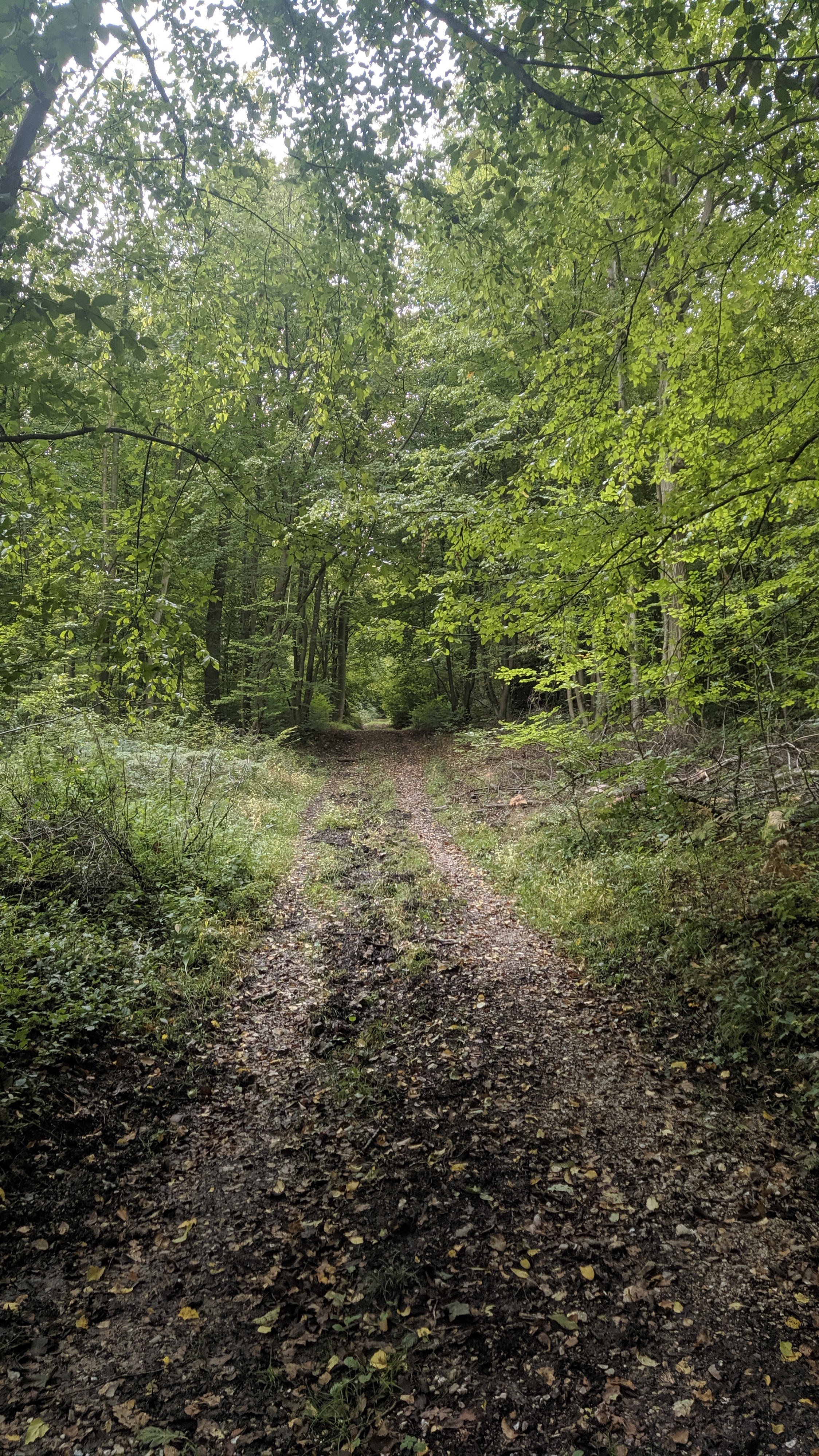 Photo n° 8 de l'avis de Frederic.e fait le 03/10/2019 à 18:30