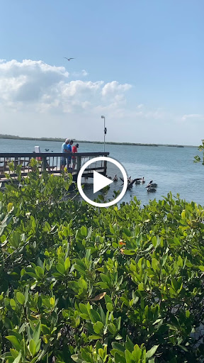 Bar «Flagler Tavern», reviews and photos, 414 Flagler Ave, New Smyrna Beach, FL 32169, USA