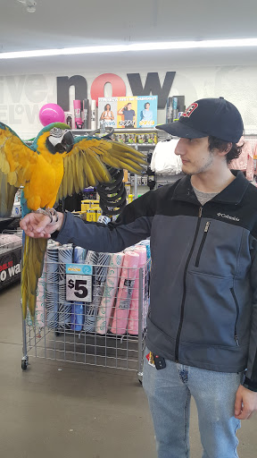 Variety Store «Five Below», reviews and photos, 12080 Jefferson Ave #500, Newport News, VA 23606, USA