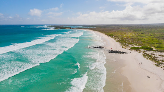 Tortuga Bay Galapagos