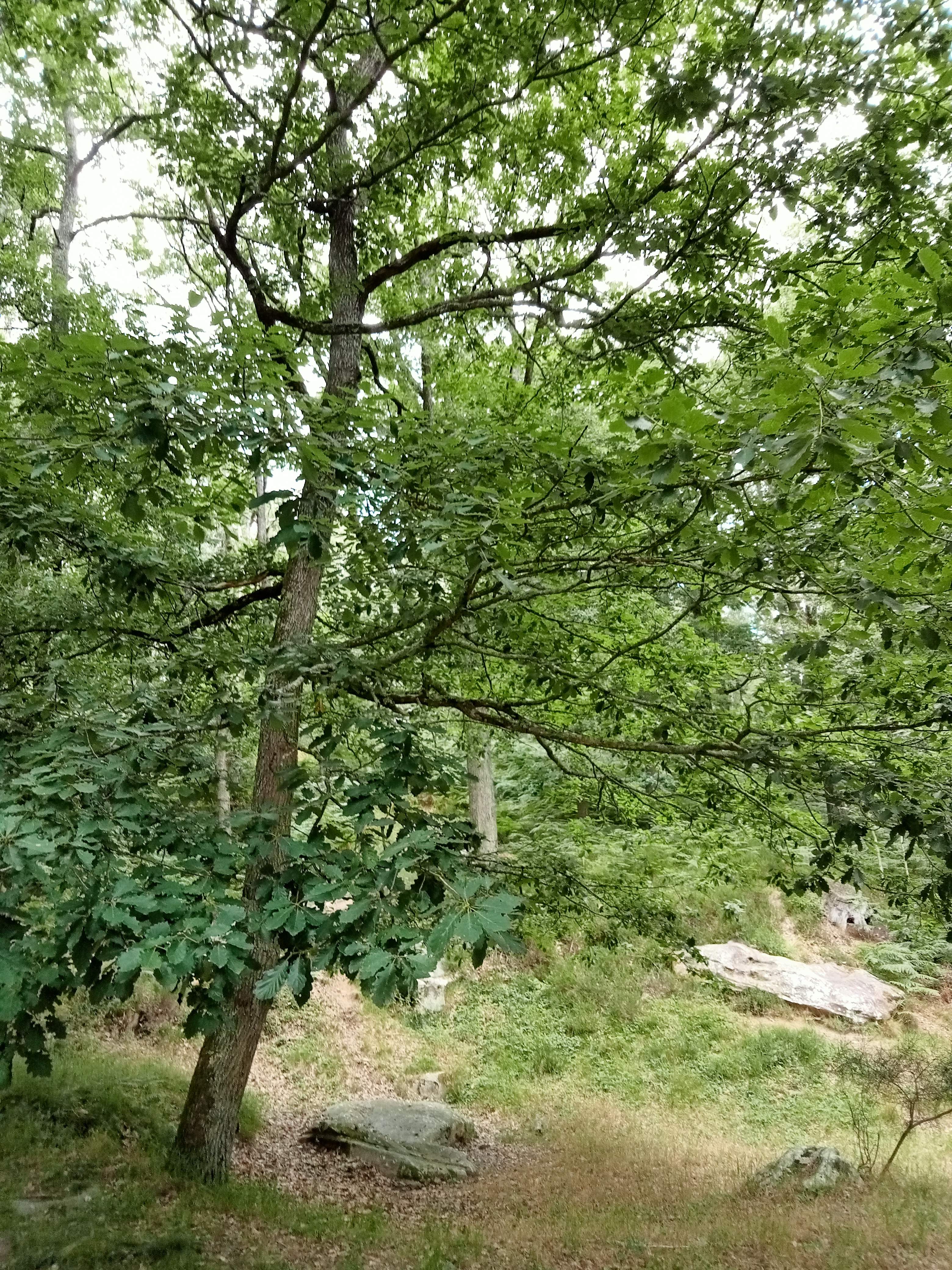 Photo n° 2 de l'avis de Isabelle.e fait le 01/07/2022 à 16:19