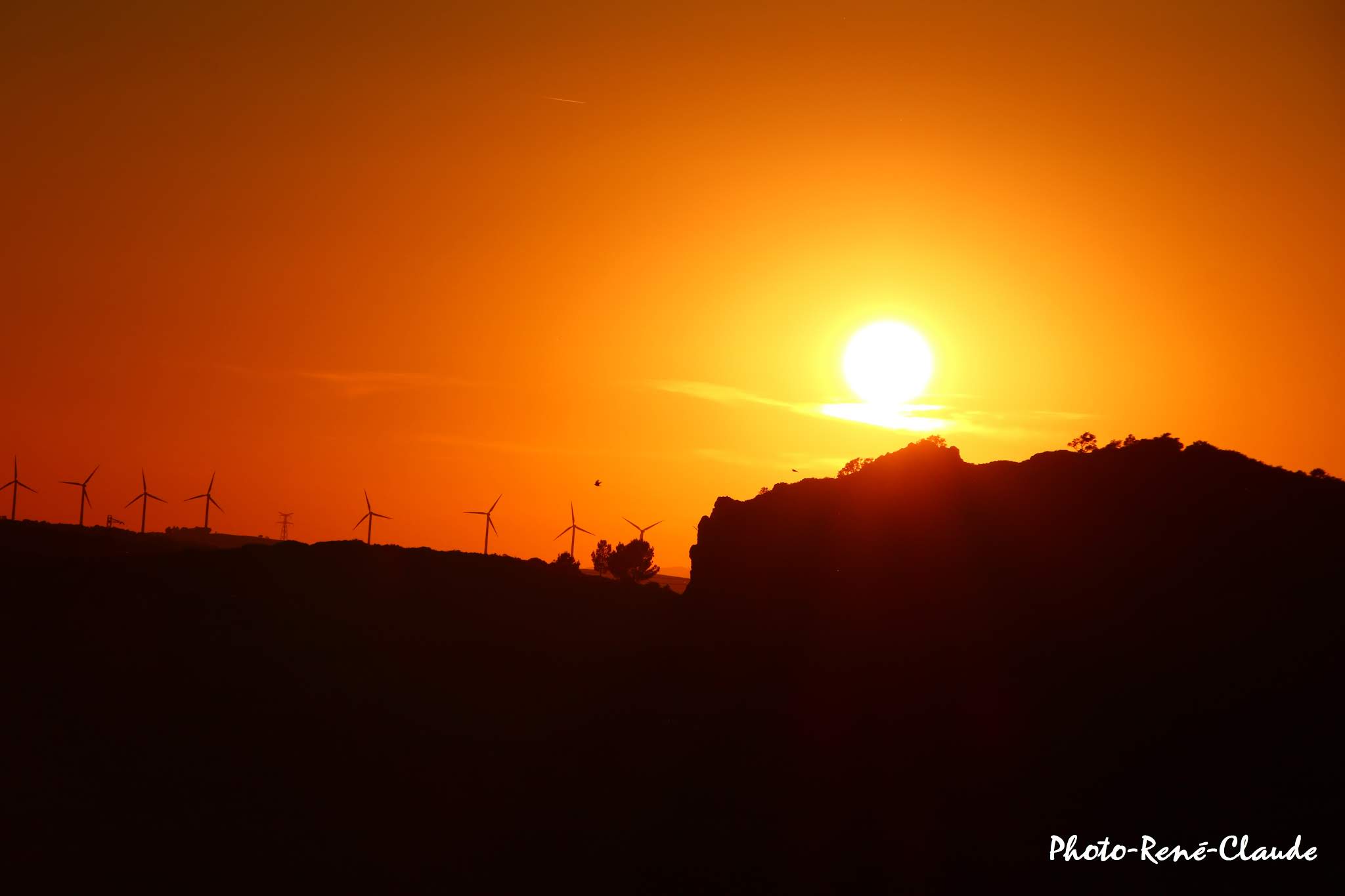 Photo n° 14 de l'avis de rené.a fait le 20/07/2019 à 17:42